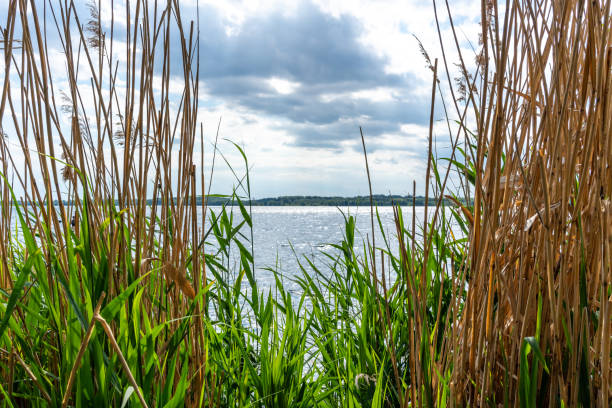 A beautiful summer's day at Lake Cospuden in Leipzig, Germany