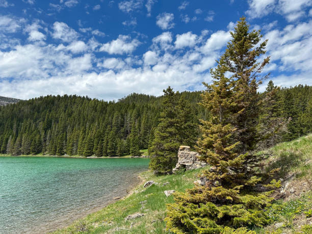 istock A beautiful mountain lake surrounded by a pine tree forest. 2161619223
