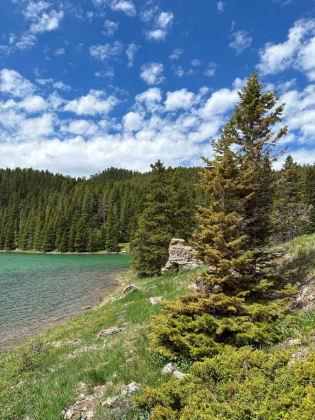 istock A beautiful mountain lake surrounded by a pine tree forest. 2161619226