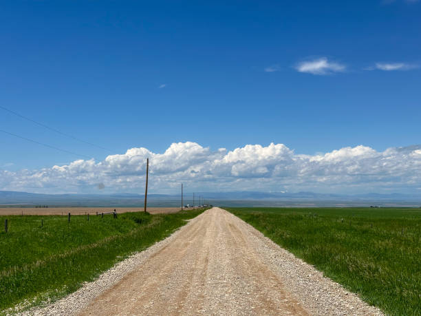 istock Dirt road through a grassland 2161619249