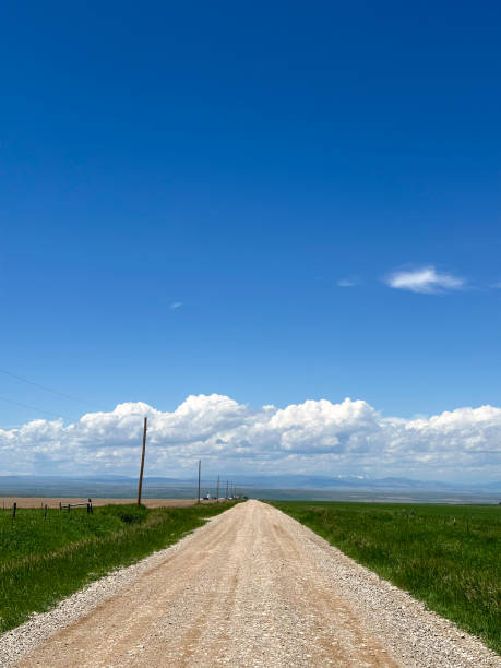 istock Dirt road through a grassland 2161619253