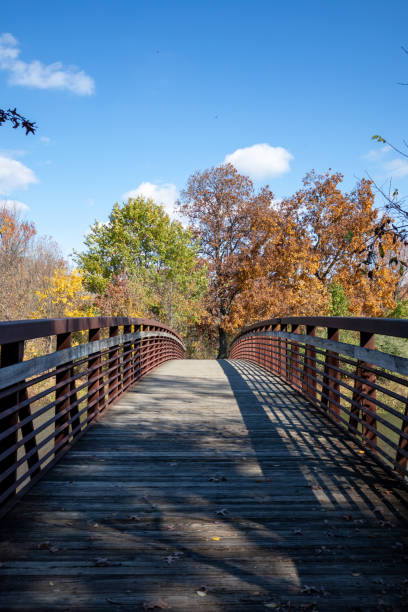 istock Wooden bridge in autumn park 2161621701