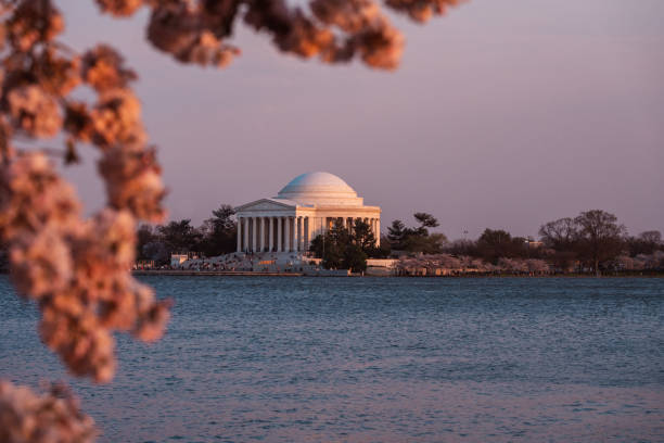 Thomas Jefferson Memorial at sunset with cherry blossoms