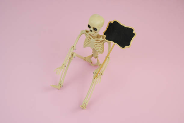 istock Skeleton and  blackboard banner on pink background. 2161626278