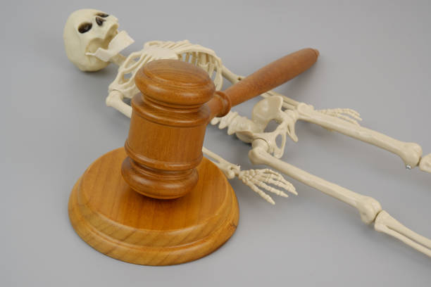 Skeleton and judge gavel on grey. Homicide legal trial concept.