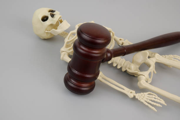 istock Skeleton and judge gavel on grey. 2161626491