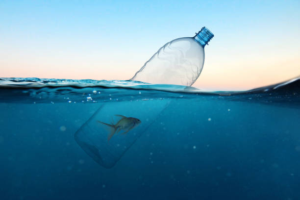 istock Plastic bottle with fish, pollution in the ocean. Hopelessness concept. Environmental pollution 2161629533