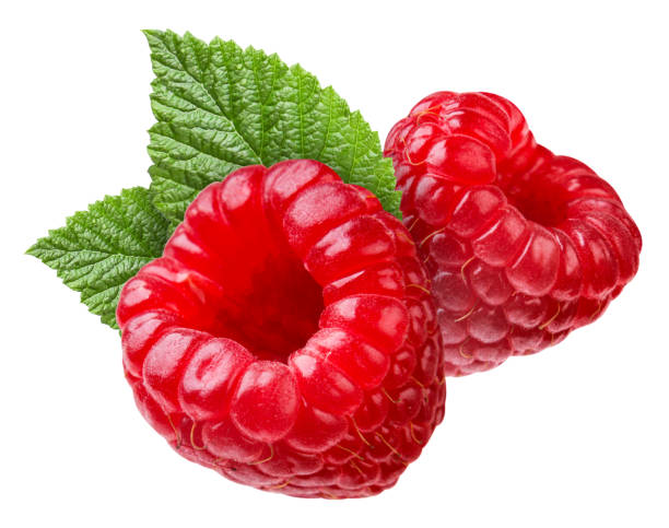 Raspberries with leaves close-up on a white background. Isolated