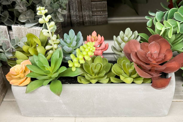 a rectangular planter filled with a variety of colorful and vibrant succulent plants