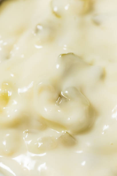 istock Savory Healthy White Tartar Sauce 2161632659