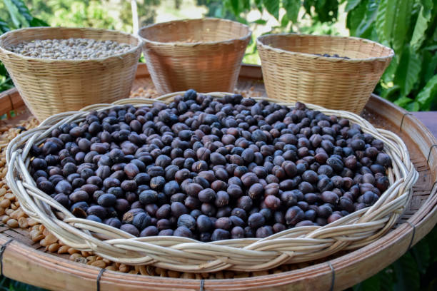 istock Organic dried and roasted coffee bean 2161637005