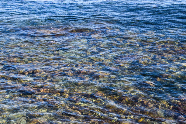 Detail of a shallow sea by the coast