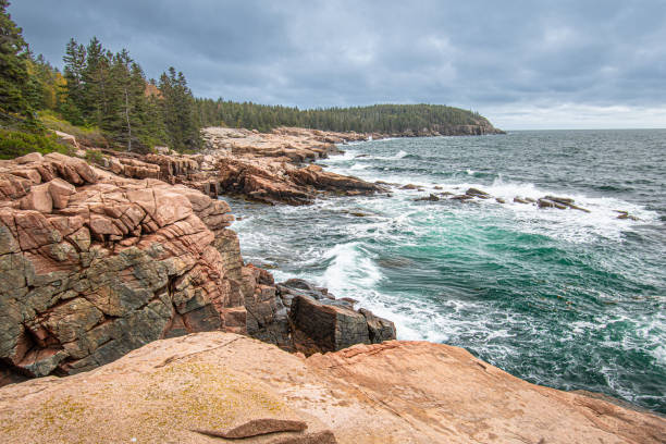 Coastal Landscape, Acadia National Park