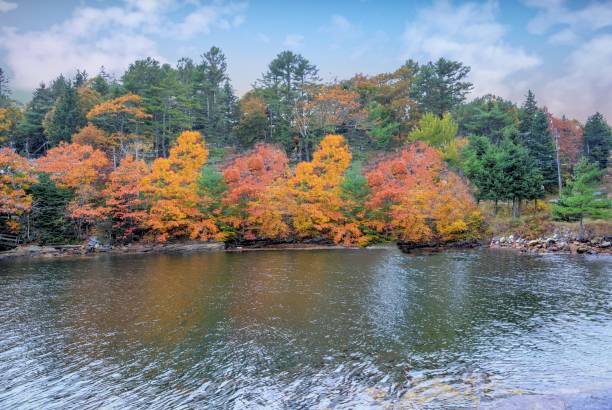 istock Fall leaf colors -Booth Bay Harbor,Maine 2161645849