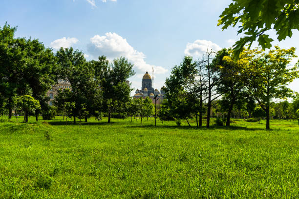 Alley in the park - summer scenery