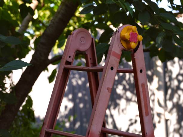 A ladder standing near tree in the garden