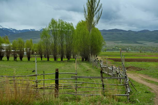 View of pasture landscape against mountain, Montana, USA.