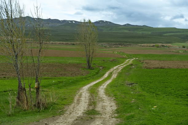 Kyrgyzstan. A dirt road through the spring fields of the valley around Lake Issyk-Kul.