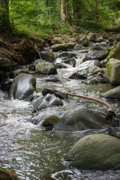 Mountain stream in the green forest with rocks.