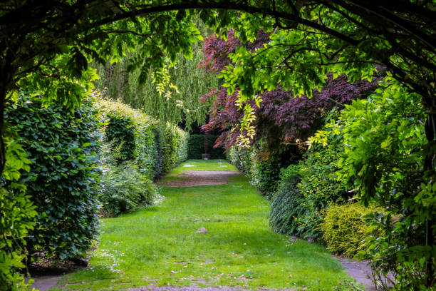 istock A very colorful british summer 2161661679