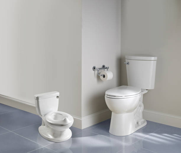 istock Potty training toilet with a regular toilet in a bathroom 2161665858