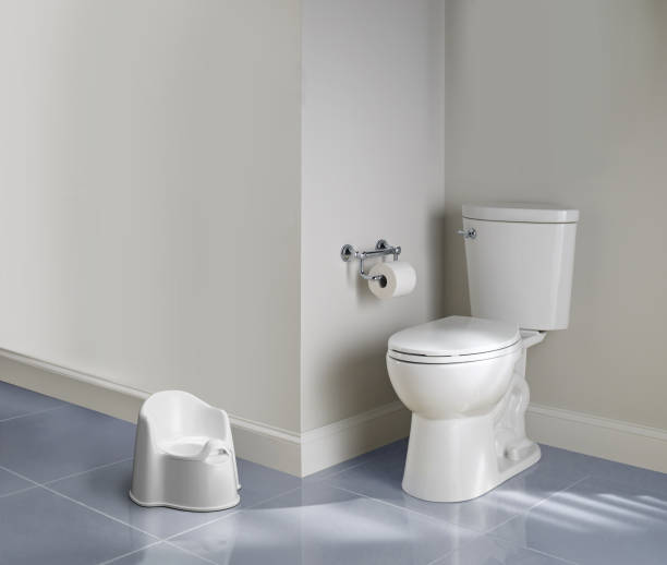 istock Potty training toilet with a regular toilet in a bathroom 2161665870