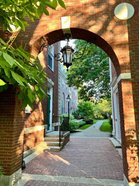 Harvard Campus in Campbridge MA in USA