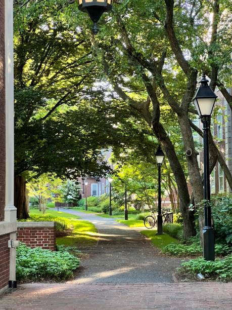 istock Harvard Campus in Campbridge MA in USA 2161666122