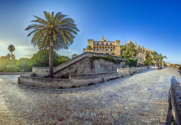 Panoramic image of Palma de Mallorca Cathedral in the evening light in summer