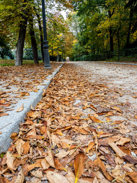 istock Autumn in Retiro Park. 2161673581