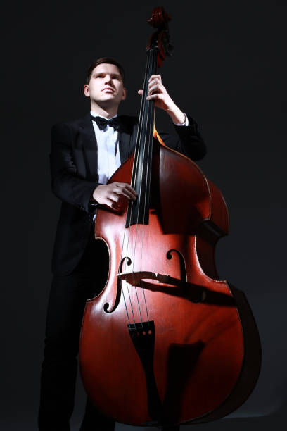 Double bass player playing contrabass pizzicato.
