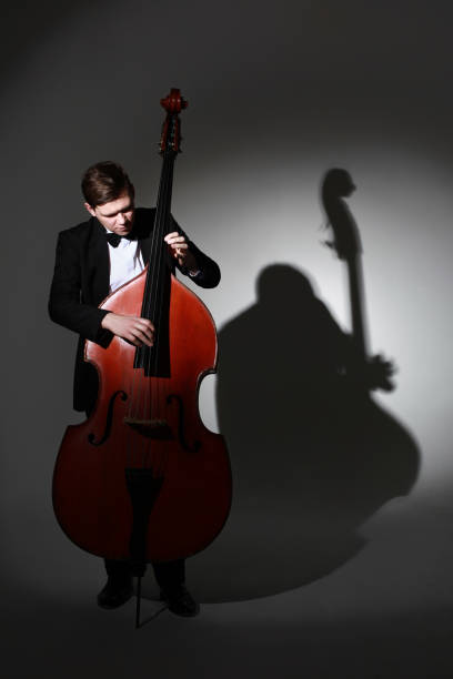istock Double bass player playing contrabass pizzicato. Classical musician 2161677355