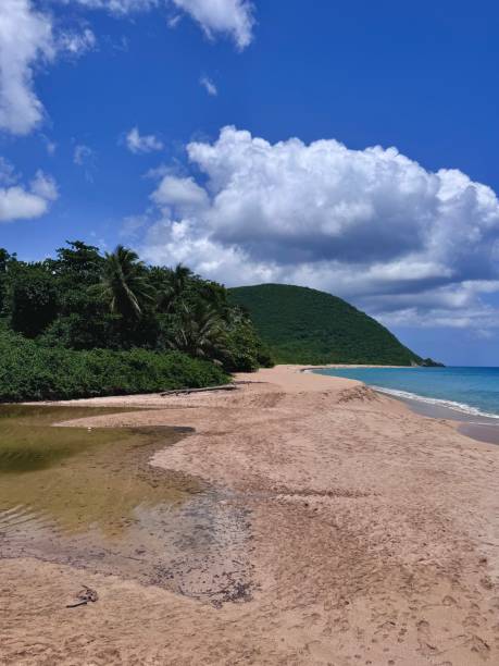 istock guadeloupe landscape 2161684561