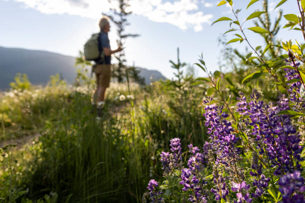 istock Senior man uses mobile phone in meadow 2161684859
