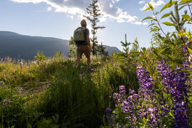 Senior man hikes in meadow