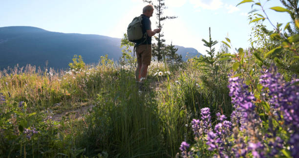 istock Senior man uses mobile phone in meadow 2161685575