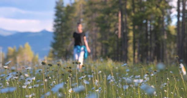 istock Young woman hikes in mountain meadow 2161686382
