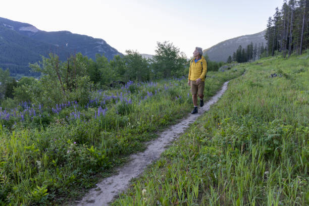 istock Senior man hikes pathway in mountains 2161686484