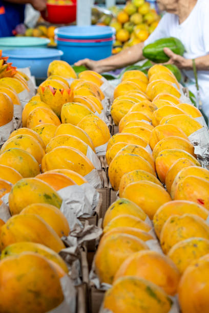 Rows of ripe papayas neatly wrapped in paper are on display at a local market. Their vibrant yellow-orange skins hint at the juicy, sweet flesh within, inviting market-goers to savor the tropical flavor.