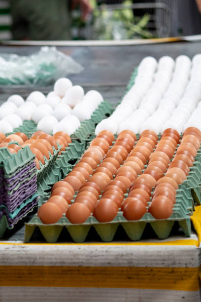 istock Rows of Eggs at a Market Stall 2161686502