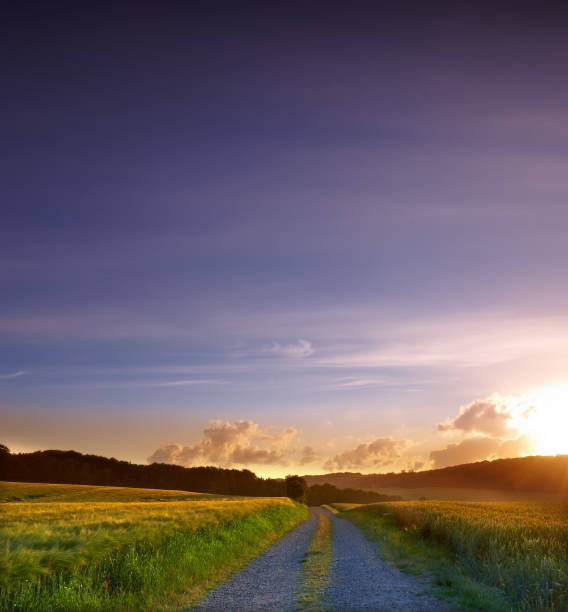 istock Countryside in harvest 2161687358