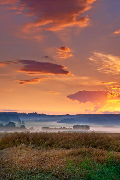 istock Countryside in harvest 2161687365