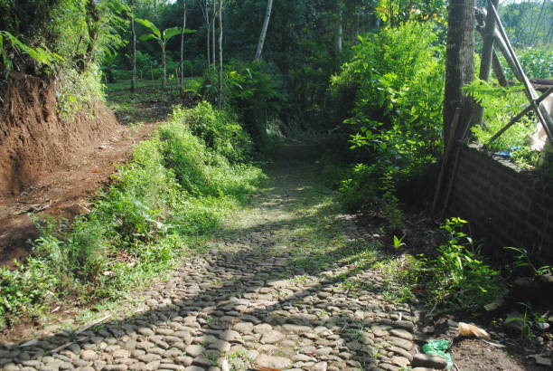 Located in Ngadiprono, Temanggung, Indonesia.