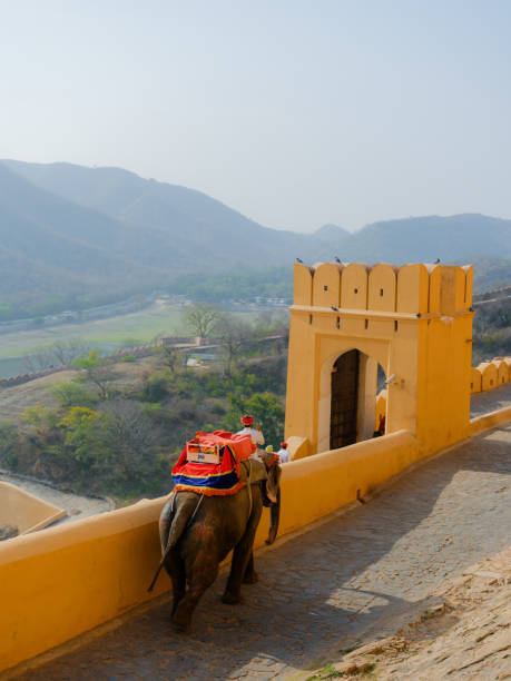 Elephant riding in Amber fort in Jaipur, India