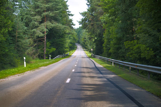 istock Quiet empty road in lush green forest during summer day with clear sky 2161701235