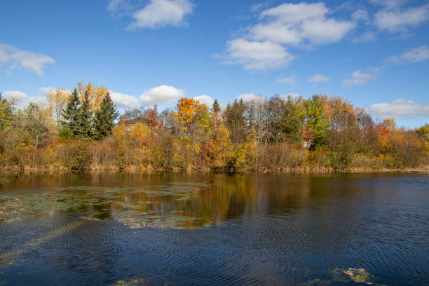 istock Autumn foliage reflecting on tranquil lake - vibrant fall colors amidst greenery - clear blue sky with fluffy clouds - serene water with gentle ripples 2161702354