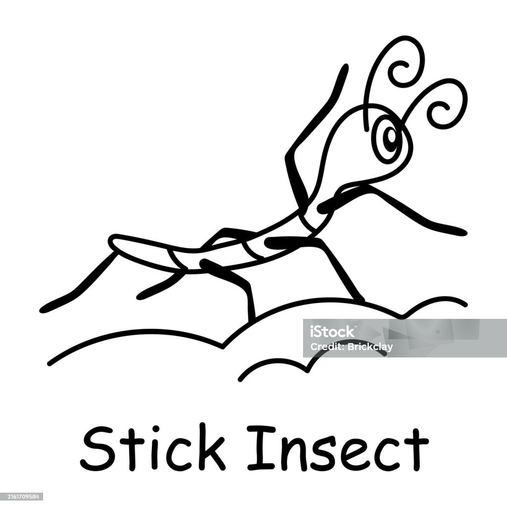 Stick Insect Fun Cartoon Stick Insect Stock Illustration - Download Image Now - Animal, Cartoon ...