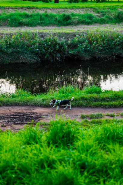 Fletcher Moss is one of the biggest public park in Manchester located in Didsbury.