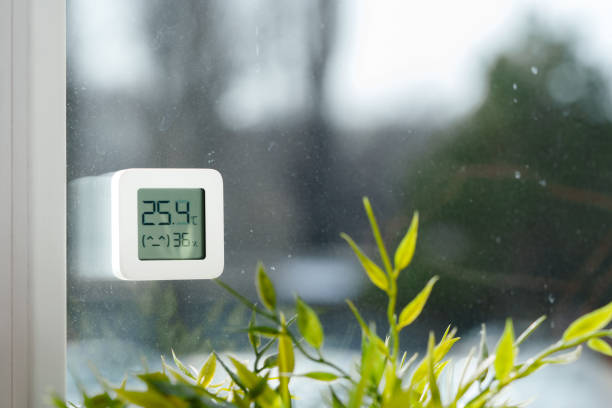 istock Thermometer Attached to Window With Rain and Plant 2161712224