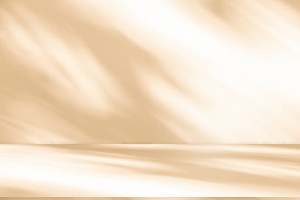 istock Studio style background wall decoration presentation uses white and beige tones. with shadows cast from a nearby window, concept creating a decorative backdrop. 2161712356